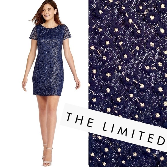 The Limited Dresses & Skirts - The LIMITED Celestial Dress Deep River Blue Embroidered w Metallic Silver Thread
